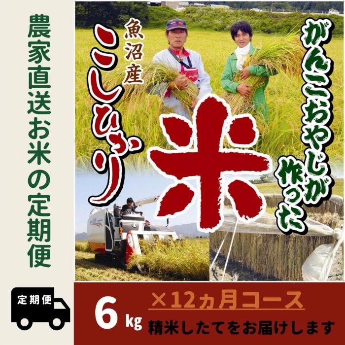 令和５年産新米予約【12か月定期便】がんこおやじが作った南魚沼産