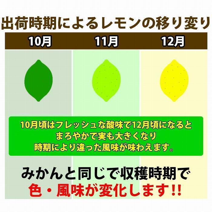 ふるさと納税 和歌山県 有田川町 レモン 和歌山県産 訳あり 国産レモン 2kg