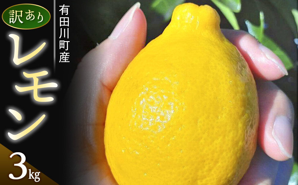 【有田川町】レモン&nbsp;和歌山県産&nbsp;訳あり&nbsp;国産レモン&nbsp;3kg
