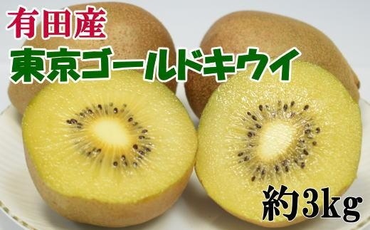 【数量限定】キウイフルーツの新品種「東京ゴールドキウイ」約3kg（サイズ混合）★2024年12月中旬頃より順次発送