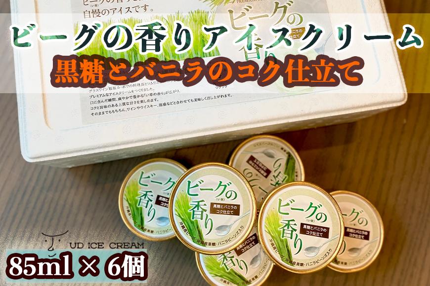 ビーグの香り アイス アイスクリーム セット 6個 ( 1種 ) UD ICE CREAM 沖縄素材をアイスに使用