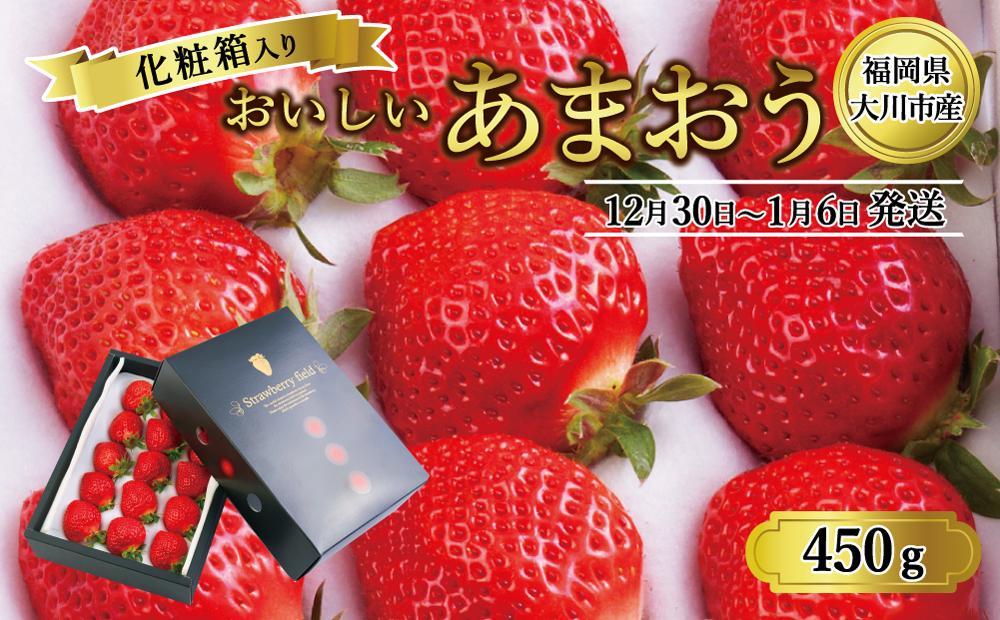 12月30日～1月6日発送】福岡県大川市産 おいしいあまおう（化粧箱入り  