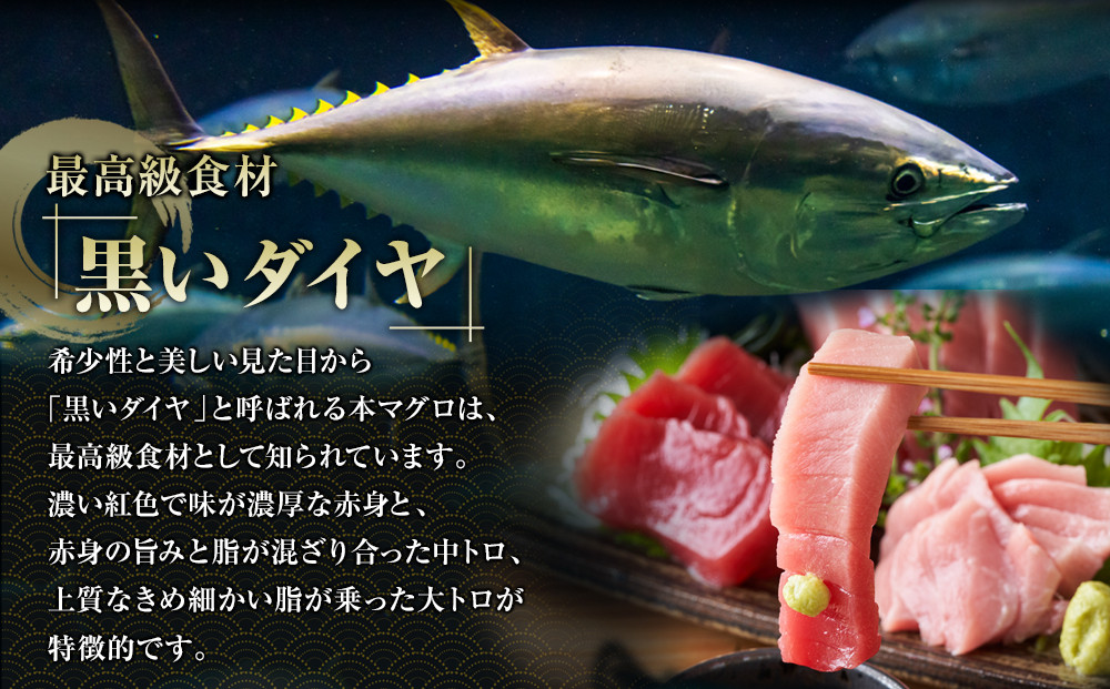 鹿児島県奄美大島産高級食材『黒いダイヤ』黒マグロ Bセット|マグロ