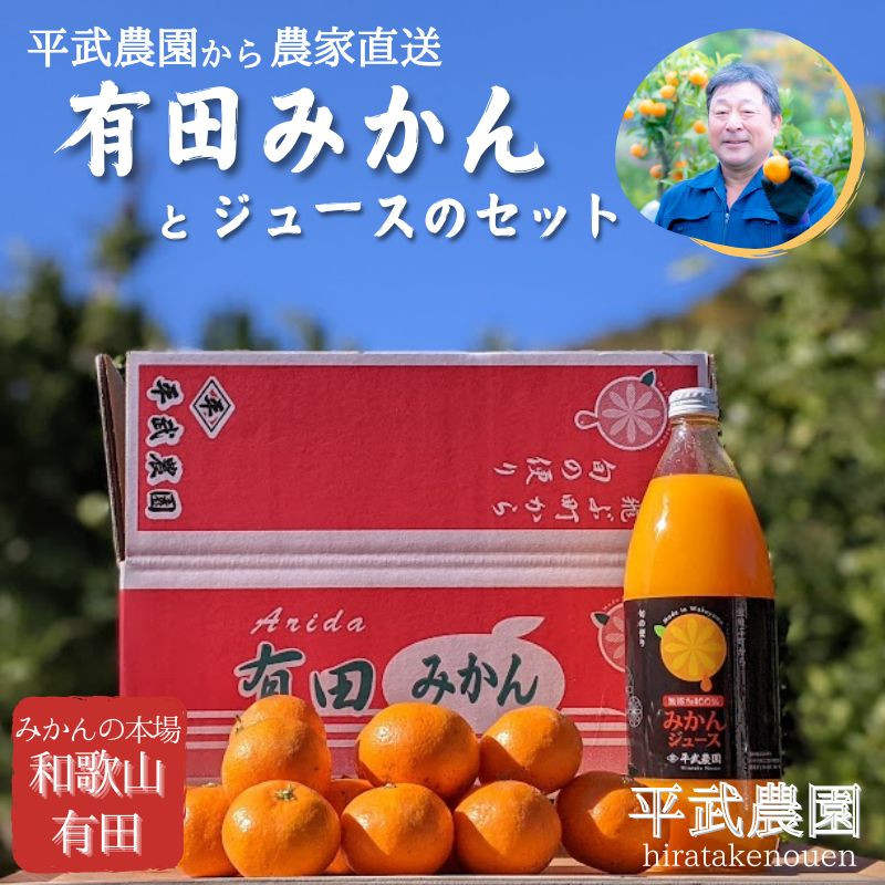 農家直送！有田みかん（約3kg Sサイズ 秀品）とジュースのセット 平武農園 ～蛍飛ぶ町から旬の便り～