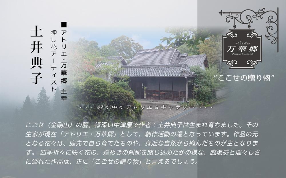 押し花アート 魚 化石 木製箱入り 押し花アート 魚 化石 木製箱入り