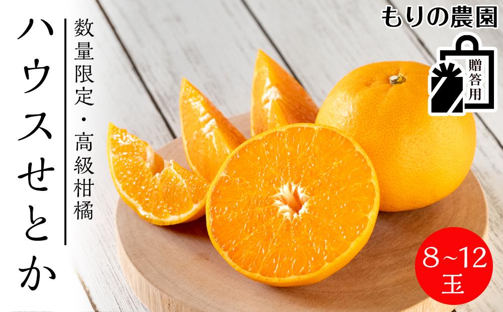 高級柑橘 贈答用ハウスせとか化粧箱８玉～12玉 完熟 フルーツ 産地直送