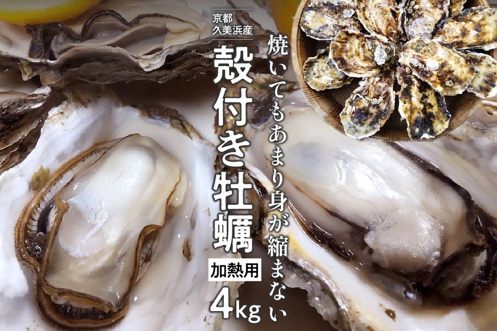 京都・久美浜産　殻付き牡蠣　4kg（40個前後）【加熱用】　牡蠣ナイフ付