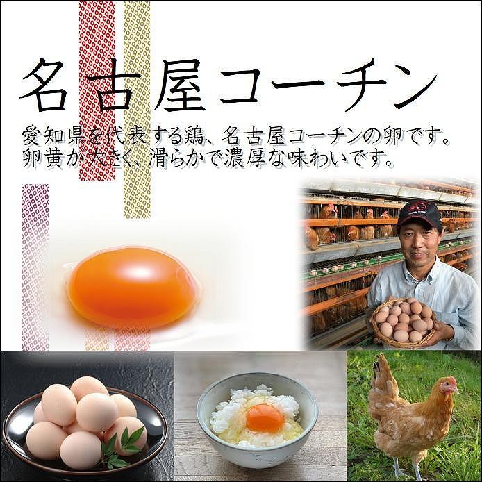 JTBのふるさと納税サイト　「純系　業務用　日本三大地鶏！！　[ふるぽ]　名古屋コーチンの卵」（90個）　本当に美味しい食べ物は調味料の味に負けません！