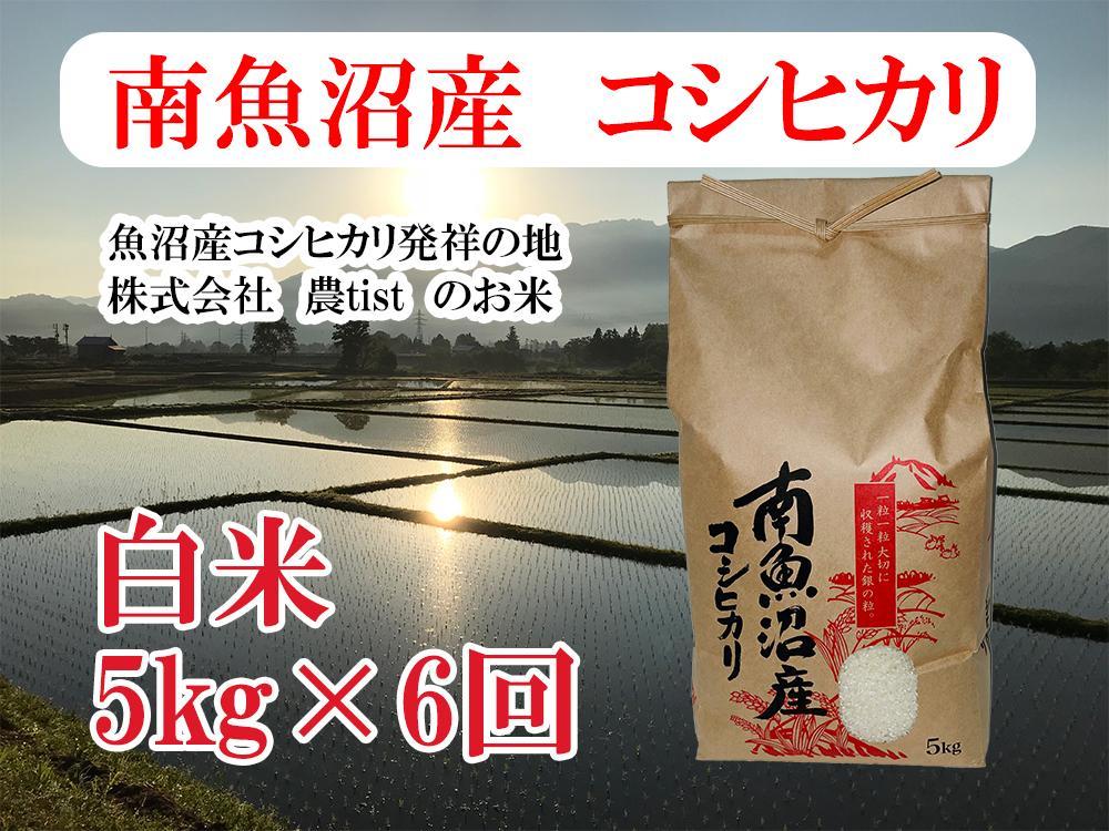 【令和7年産】【定期便&nbsp;南魚沼産】コシヒカリ&nbsp;白米5kg×6回