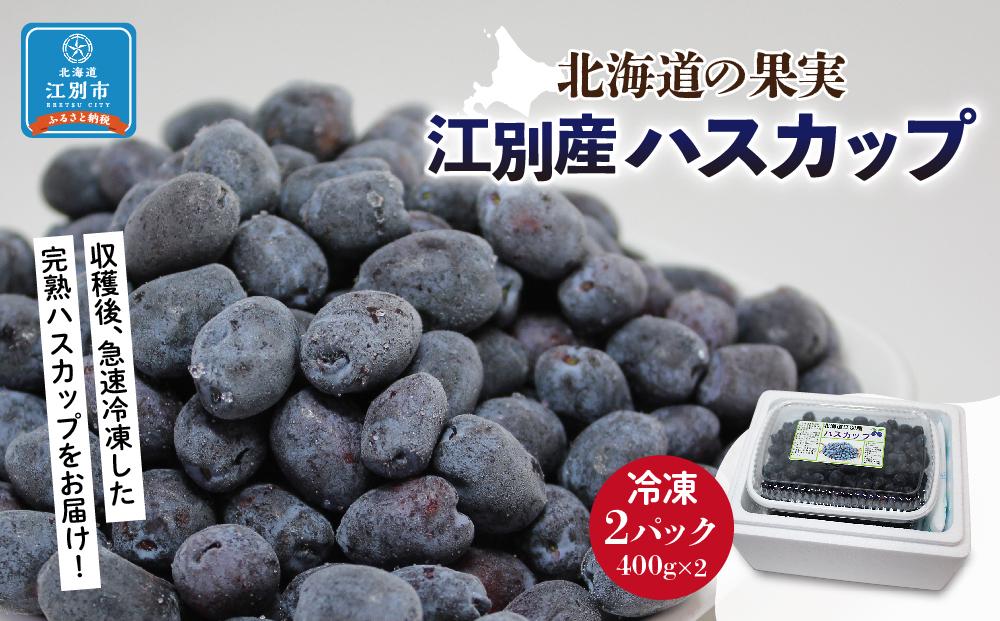 ハスカップ 冷凍 8kg 北海道産 2023年産 送料込み - 果物