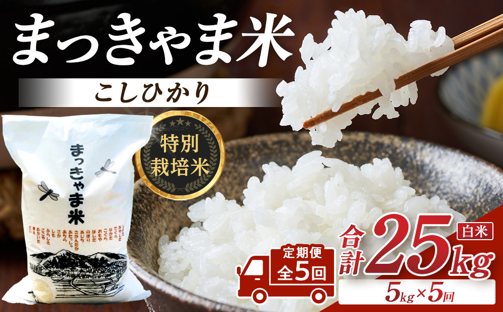 米 （毎月／全5回）【白米】定期便　特別栽培米 石川県産こしひかり棚田米”まっきゃま米” ｜ 　金沢市 お米 こめ 白米 食品 米 コシヒカリ ふるさと納税 米通販 高級米 国産米 ブランド米 日本米 新米 精米 産地直送 米ギフト 米料理 用途別米 米食文化 米農家 特別栽培米 米品種 米品質 米栽培技術 食感良好米 石川 金沢 加賀百万石 加賀 百万石 北陸 北陸復興 北陸支援
