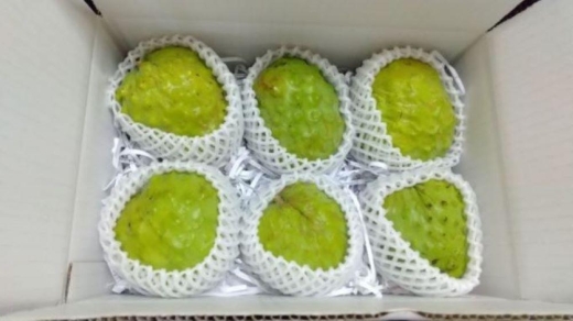 【先行予約】希少!!　森のアイスクリーム　アテモヤ