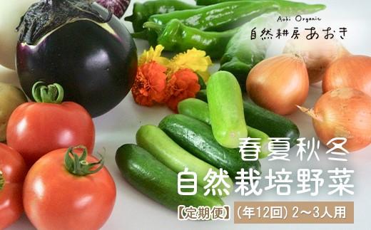 【定期便】春夏秋冬自然栽培野菜セット（年12回）2~3人用