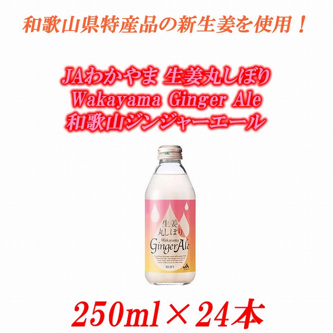 JAわかやま 生姜丸しぼり　Wakayama Ginger Ale　和歌山ジンジャーエール 250ml×24本
