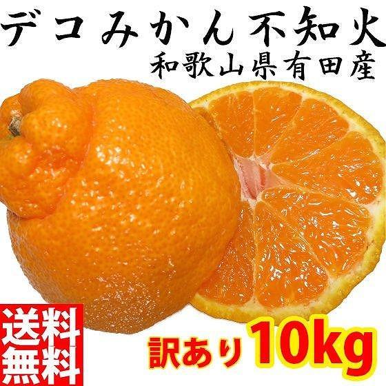 不知火(しらぬい) オレンジ みかん 家庭用 10kg