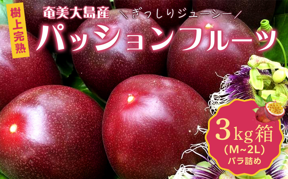 【先行受付】奄美大島&nbsp;パッションフルーツ&nbsp;3kg箱&nbsp;(バラ詰)&nbsp;きゃしなふ農園&nbsp;|先行予約&nbsp;2026年&nbsp;果物&nbsp;フルーツ&nbsp;くだもの&nbsp;パッションフルーツ&nbsp;南国&nbsp;産地直送&nbsp;甘み&nbsp;奄美&nbsp;鹿児島&nbsp;瀬戸内町