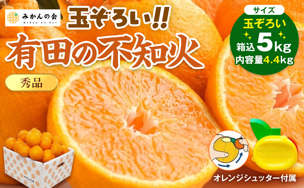 不知火&nbsp;(しらぬい)&nbsp;秀品&nbsp;玉ぞろい&nbsp;箱込&nbsp;5kg&nbsp;(内容量約4.4kg)&nbsp;&nbsp;和歌山県産&nbsp;産地直送［みかんの会］