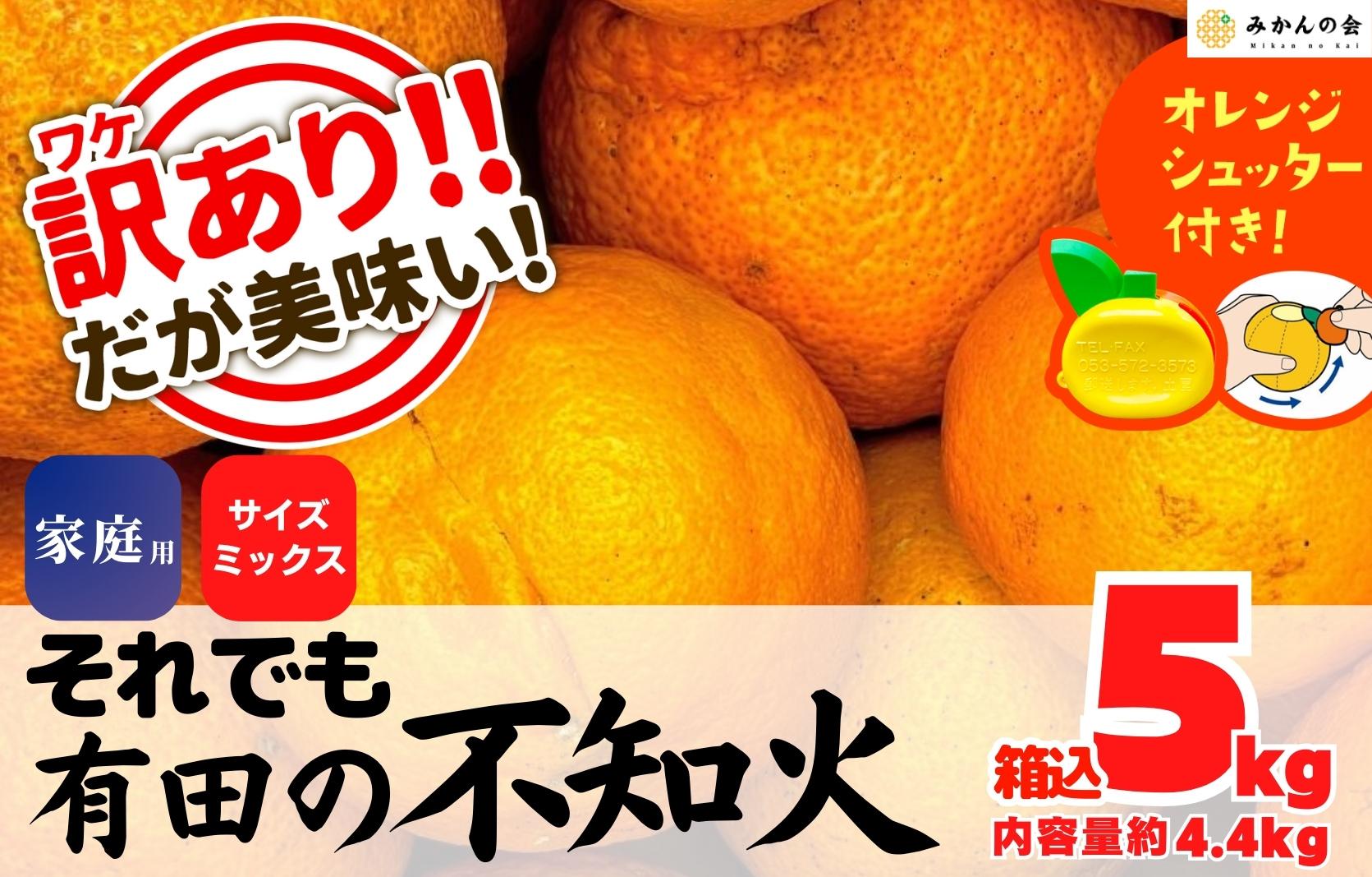 不知火 訳あり それでも 有田の不知火 箱込 5kg(内容量約 4.4kg) サイズミックス 和歌山県産 産地直送 【みかんの会】