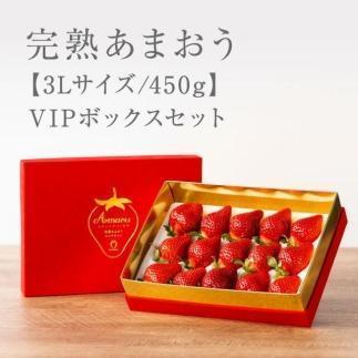 【2025年1月～4月納品分予約販売】武下さんちの「完熟あまおう」 3Lサイズ 450g  赤いVIPボックスに入れて！【あまおう 完熟 いちご 苺 イチゴ くだもの 果物 フルーツ 大粒 450g ご当地 ブランド ギフト 人気 おすすめ 送料無料 福岡県 大川市 AA069】