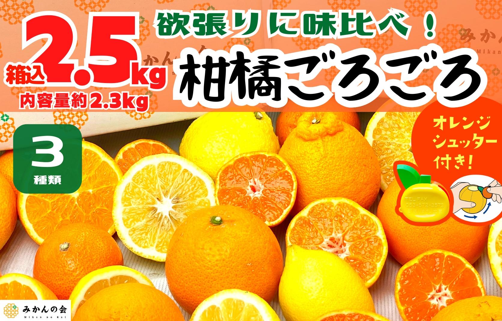 旬の柑橘食べ比べ 柑橘ごろごろ 3種 箱込 2.5kg(内容量 2.3kg) 秀品 優品 混合 和歌山県産 産地直送 【おまけ付き】【みかんの会】