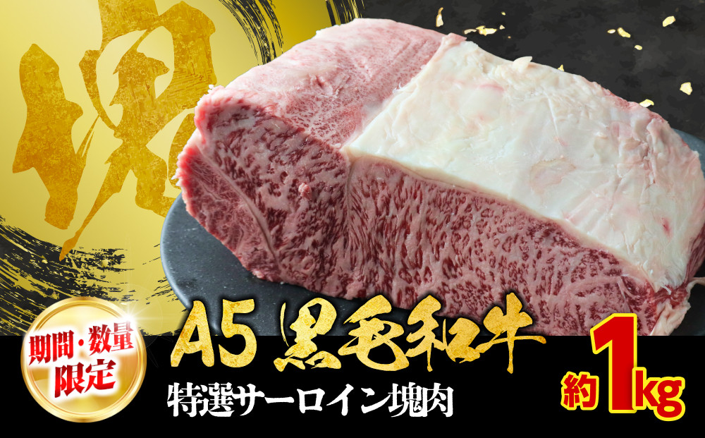 【期間・数量限定】大府市特産　A5黒毛和牛特選サーロイン塊肉　1.0kg