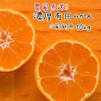 農家直送！濃厚有田みかん（ご家庭用）　１０ｋｇ／11月中旬～発送予定