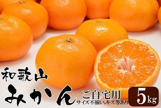 和歌山産 みかん 5kg 【ご自宅用・サイズ不揃い・キズ等あり】【ヤマタ大谷商店】 | JTBのふるさと納税サイト [ふるぽ]