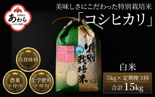 【令和6年産 新米】《定期便3回》コシヒカリ 精米 5kg （計15kg）特別栽培米 農薬不使用 化学肥料不使用 ／ 高品質 鮮度抜群 福井県産 ブランド米 白米