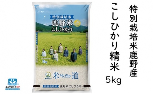 特別栽培米鹿野産こしひかり精米5kg（5kg×1袋)＊北海道・沖縄・離島への配送不可＊