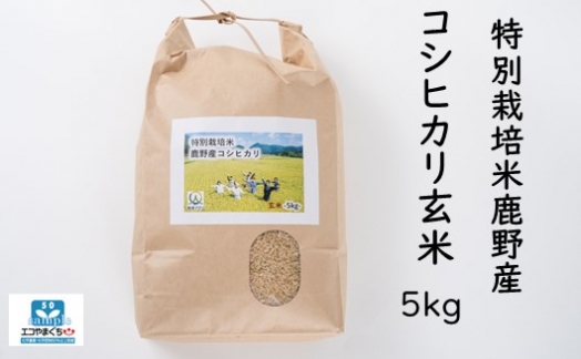 特別栽培米鹿野産コシヒカリ玄米5kg (5kgx1袋)＊北海道・沖縄・離島への配送不可＊