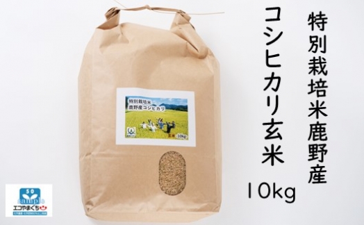 特別栽培米鹿野産コシヒカリ玄米10kg（10kgx1袋)