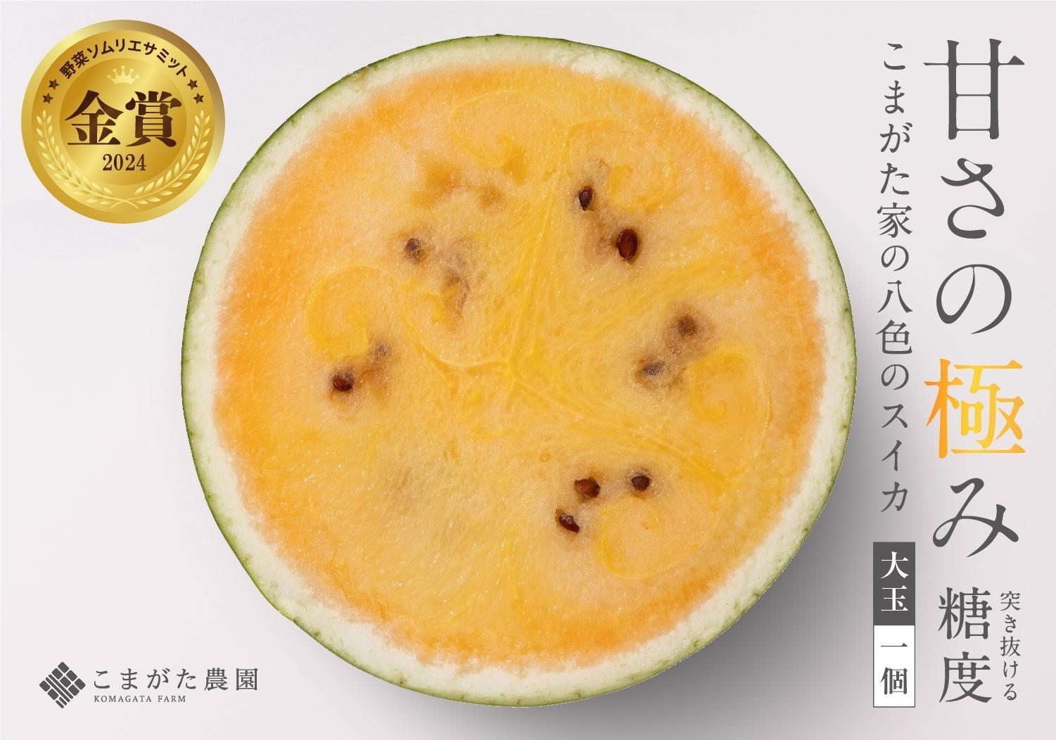 【2026年7月下旬〜8月上旬順次発送予定】糖度日本一・金賞W受賞 金色羅皇  最高級南魚沼八色産黄色スイカ「こまがた家の八色のスイカ」プレミアム大玉 1玉