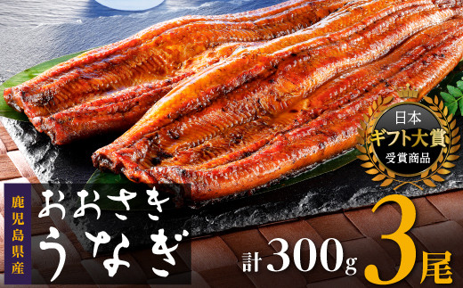 数量限定 鹿児島県産うなぎ長蒲焼3尾 約100g × 3尾 鰻 国産うなぎ蒲焼き たれ うな重 ひつまぶし ウナギ 蒲焼 人気 おすすめ ふるさと納税 鹿児島県 大崎町 A911