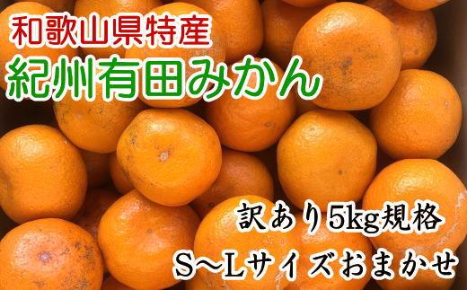 【訳あり】和歌山有田みかん約5kg（S～Lサイズいずれかお届け）★2024年11月中旬頃より順次発送【TM81】