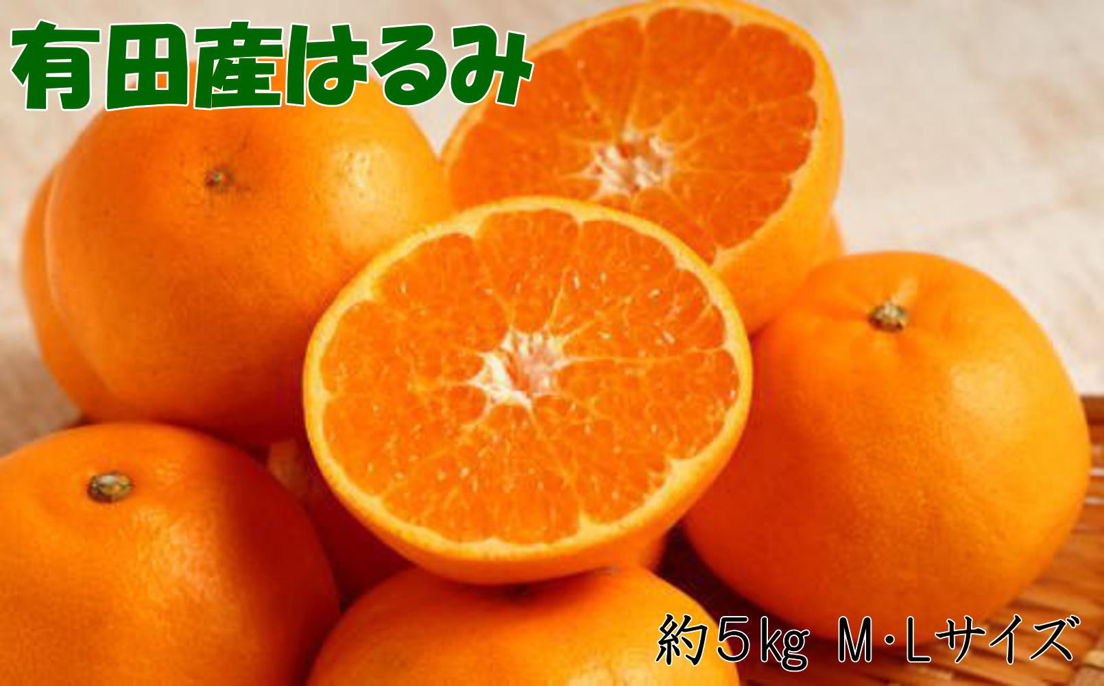 ［厳選・濃厚］紀州有田産のはるみ約5kg(M～Lサイズおまかせ)&nbsp;★2027年1月下旬頃より順次出発送［TM28］