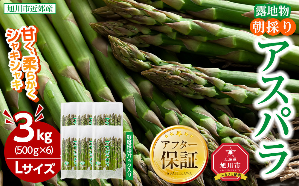 【2026年先行予約】朝採りアスパラ&nbsp;Lサイズ&nbsp;3kg（500g×6）鮮度保持パック入り&nbsp;旭川近郊産&nbsp;露地物(5月中旬発送開始予定)&nbsp;【&nbsp;アスパラ&nbsp;アスパラガス&nbsp;朝採り&nbsp;とれたて&nbsp;野菜&nbsp;旬&nbsp;小分け&nbsp;保存&nbsp;産直&nbsp;産地直送&nbsp;お取り寄せ&nbsp;旭川市&nbsp;北海道&nbsp;】_01592