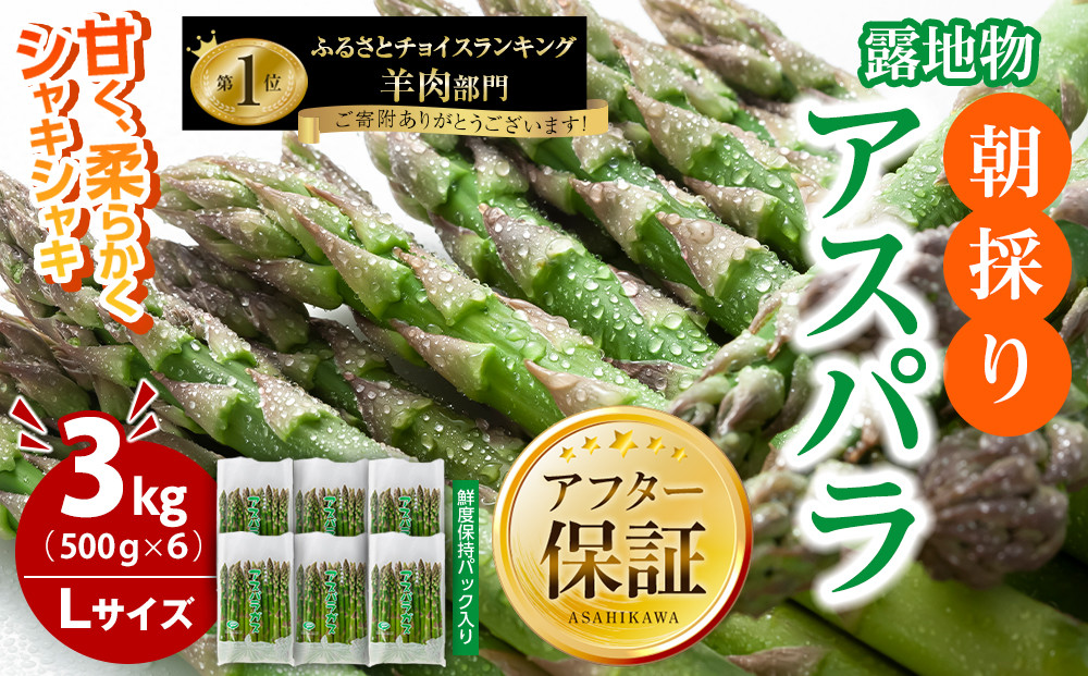 【2026年先行予約】朝採りアスパラ&nbsp;Lサイズ&nbsp;3kg（500g×6）鮮度保持パック入り&nbsp;旭川近郊産&nbsp;露地物(5月中旬発送開始予定)&nbsp;【&nbsp;アスパラ&nbsp;アスパラガス&nbsp;朝採り&nbsp;とれたて&nbsp;野菜&nbsp;旬&nbsp;小分け&nbsp;保存&nbsp;産直&nbsp;産地直送&nbsp;お取り寄せ&nbsp;旭川市&nbsp;北海道&nbsp;】_01592