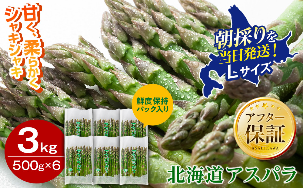 【2027年先行予約】朝採りアスパラ&nbsp;Lサイズ&nbsp;3kg（500g×6）鮮度保持パック入り&nbsp;旭川近郊産&nbsp;露地物（5月中旬発送開始予定）【&nbsp;アスパラ&nbsp;アスパラガス&nbsp;朝採り&nbsp;とれたて&nbsp;野菜&nbsp;旬&nbsp;小分け&nbsp;保存&nbsp;産直&nbsp;産地直送&nbsp;お取り寄せ&nbsp;旭川市&nbsp;北海道&nbsp;】_01592