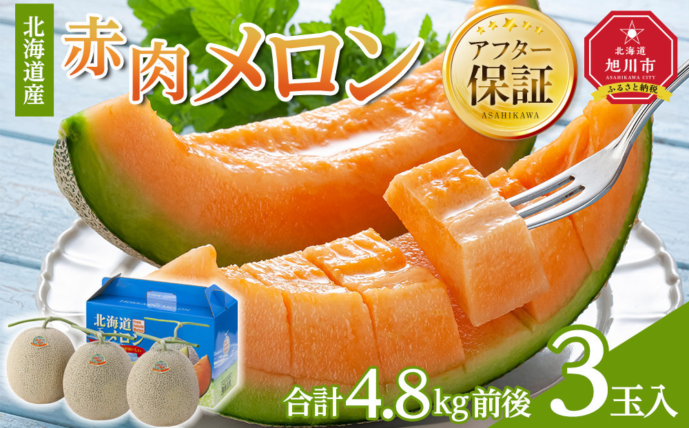 【26年発送先行予約】北海道産赤肉メロン　3玉入り　合計4.8kg前後（2026年7月中旬から発送開始予定）【&nbsp;果物&nbsp;くだもの&nbsp;フルーツ&nbsp;メロン&nbsp;赤肉&nbsp;赤肉メロン&nbsp;旬&nbsp;お取り寄せ&nbsp;甘い&nbsp;北海道産&nbsp;旭川市&nbsp;北海道&nbsp;】_01588