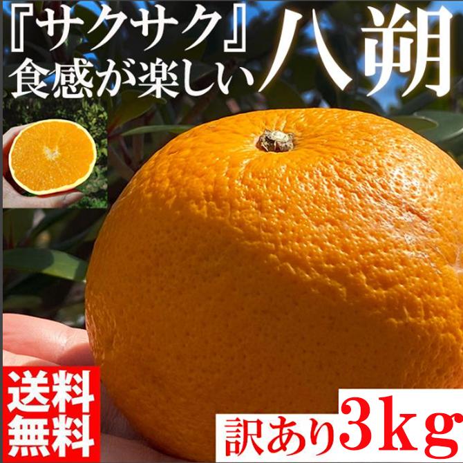 【有田川町】みかん はっさく 八朔 3kg 訳あり ブランド 和歌山 有田みかん ありだみかん