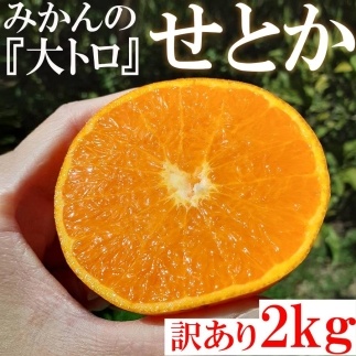 【有田川町】みかん　せとか 2kg 訳あり　ブランド 和歌山 有田みかん ありだみかん 農家直送 オレンジ フルーツ 果物