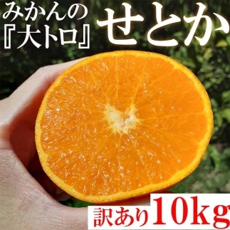 【有田川町】みかん　せとか １０kg 訳あり ブランド 和歌山 有田みかん ありだみかん 農家直送 オレンジ フルーツ 果物