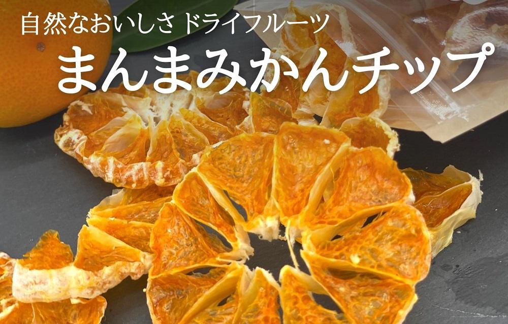 ドライフルーツ みかんチップ 100g ( 20g × 5袋 ) 和歌山県産 果物使用 自社製造 【みかんの会】