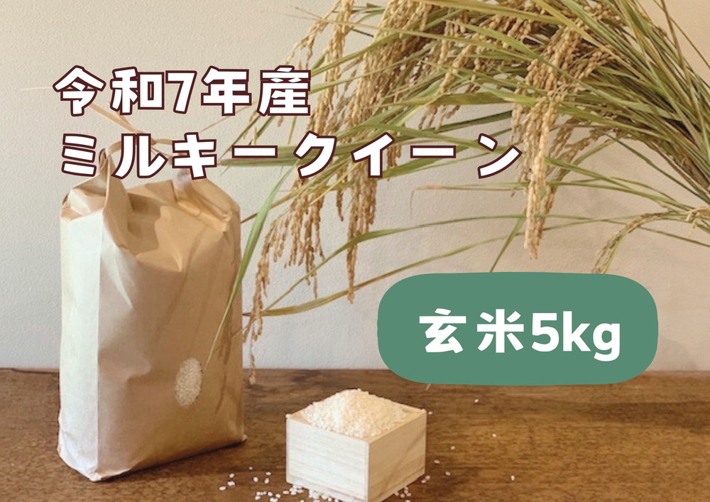 【令和7年産】栃木市岩舟町産ミルキークイーン5kg【玄米】米　玄米　ミルキー　農家直送　産地直送