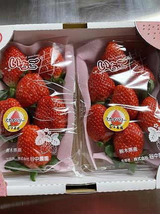 2025年12月下旬～発送】「口いっぱいに溢れる甘い果汁 谷中農園の