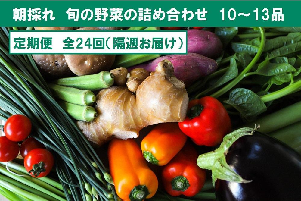 ふるさと納税 高知県 南国市 『定期便 全6回』旬の野菜の詰め合わせ