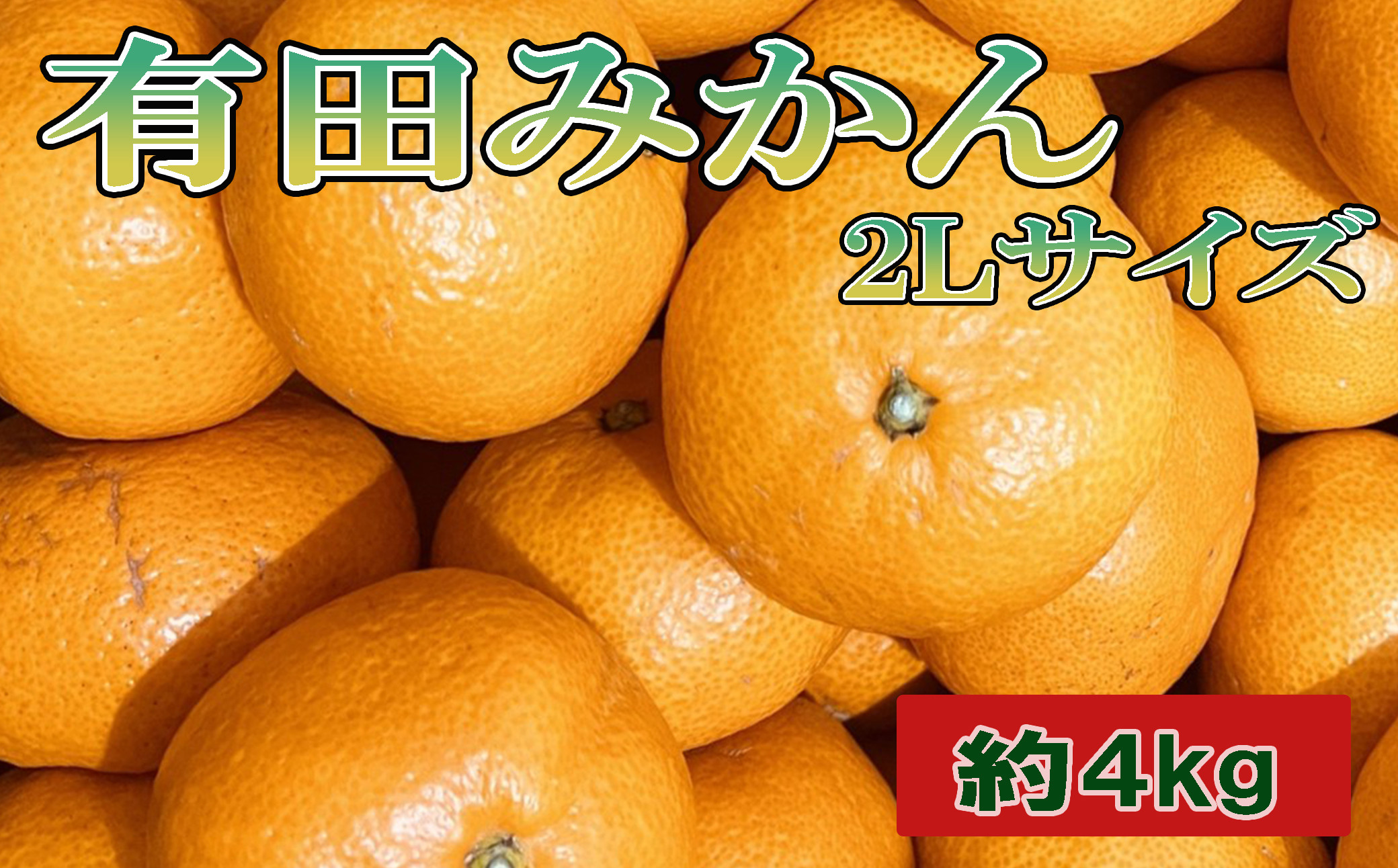[秀品]和歌山有田みかん約4kg(2Lサイズ)&nbsp;★2026年11月中旬頃より順次発送［TM199w］