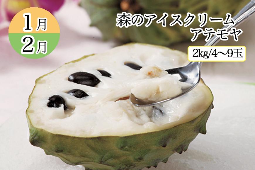 お土産やシェアにも!沖縄産アテモヤたっぷり5kg!入手困難!! お土産やシェアにも!沖縄産アテモヤたっぷり5kg!入手困難!!