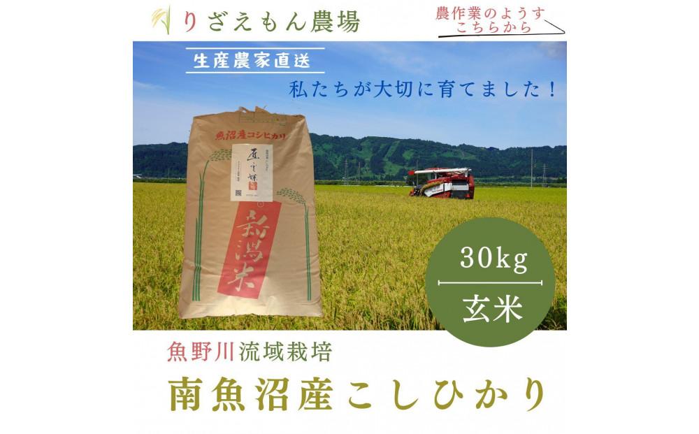 《新米》玄米30kg　令和６年産　南魚沼産　コシヒカリ　こしひかり　魚野川流域　匠 雲蝶(たくみ　うんちょう）＼生産農家直送／