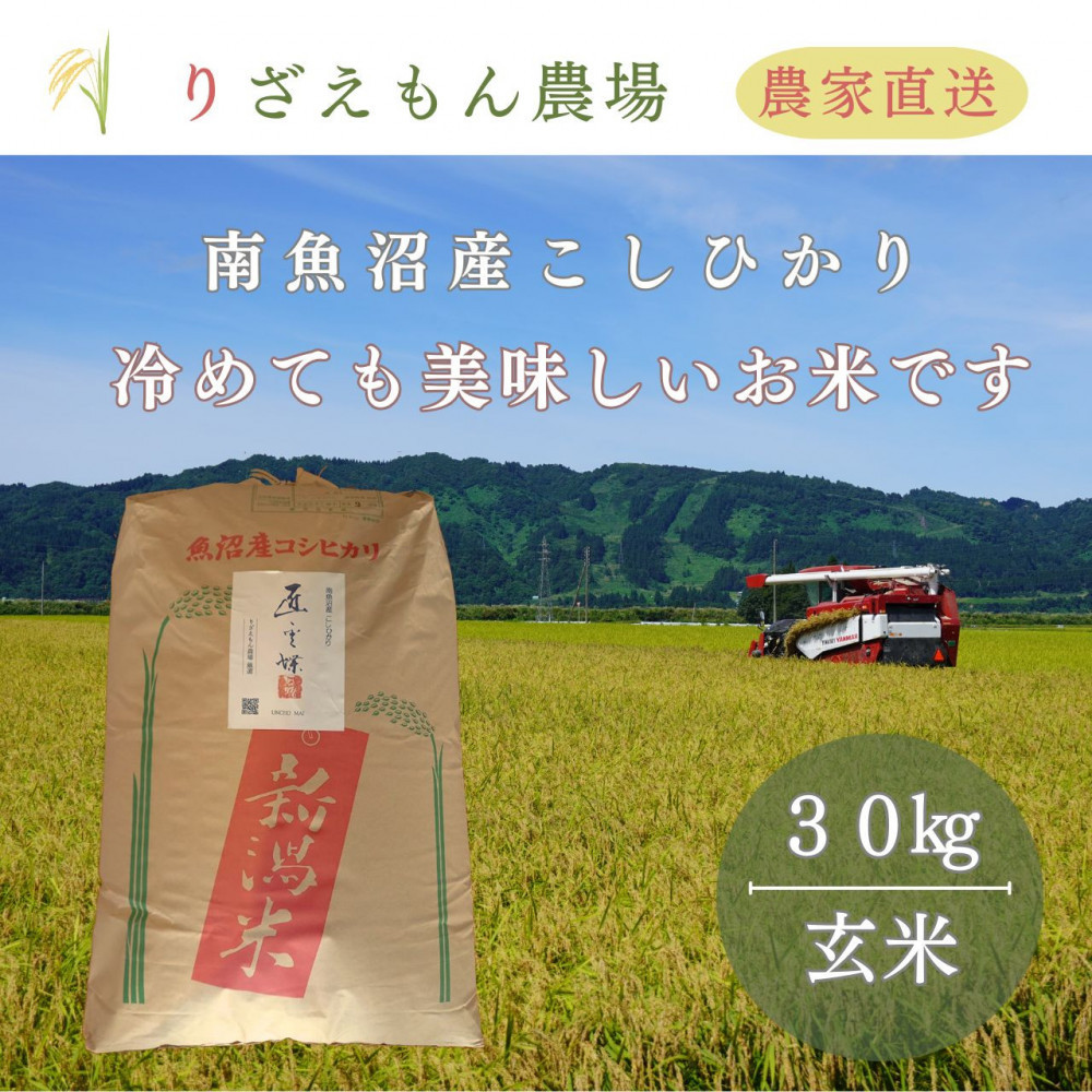 《令和8年産　新米予約受付》玄米30kg　南魚沼産　コシヒカリ　こしひかり　魚野川流域　匠&nbsp;雲蝶(たくみ　うんちょう）＼生産農家直送／【2026年10月上旬より順次発送予定】